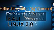 Gather information by using dig command in Kali Linux Complete Tutorial