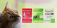 How to channelize homeopathic treatment for pets