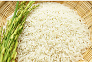 Rice Testing - ALFA CHEMISTRY