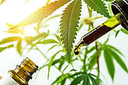 Can A Full Spectrum Hemp Extract Get You High?