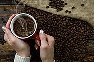 USEFUL FRENCH PRESS TRAVEL COFFEE MUGS TUMBLERS – Georgy H. – Medium