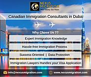 Nexus Migration - Immigration Consultants in Dubai