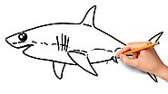 How To Draw Shark Easy Step by Step | Coloring Pages For Kids