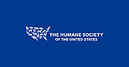 The Humane Society of The United States | The Humane Society of the United States