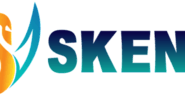 WordPress Development Company | Skenix