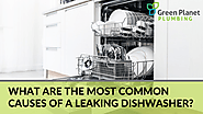The Most Common Causes of a Leaking Dishwasher - Green Planet Plumbing