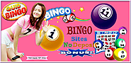 Quid Bingo- Bingo Sites with Free Sign up Bonus