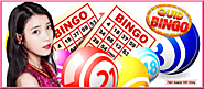 Best bingo in free spins for registration history | Free Spins Slots UK