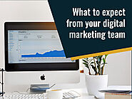 What to expect from your digital marketing team