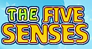 Five Senses Game | Science Game | Turtle Diary