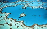 Over 1000 Coral Islands