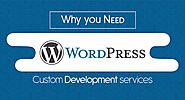 Why You Need Custom Wordpress Development Services