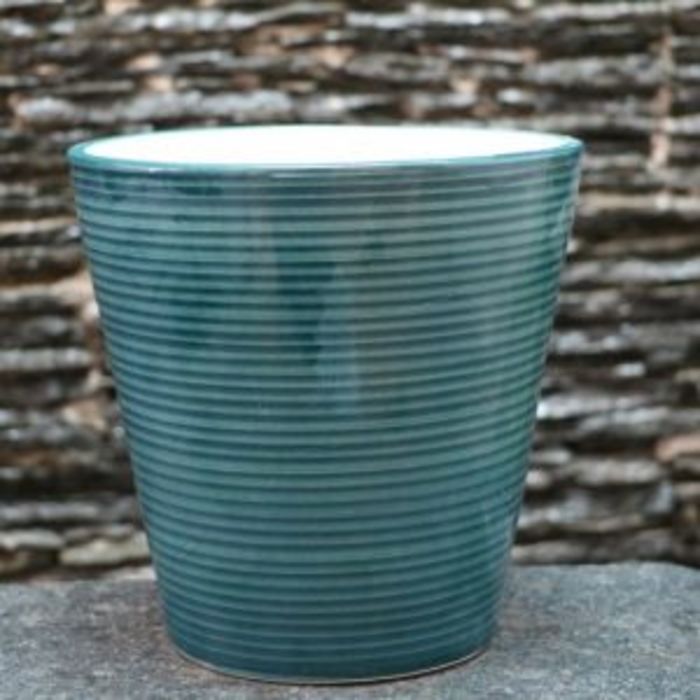 Best Plant Nursery in Coimbatore A Listly List