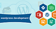 Wordpress Development Company | Skenix Infotech