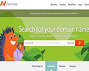Why Namecheap Domain Name Service Tops All | Blogging for Money, Online Income Ideas, Life Tips & More