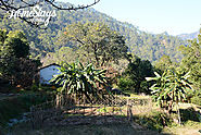 Raila Homestay – Nainital, Uttarakhand, India