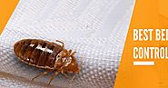 How to Avoid Bed Bugs: Know the Signs and Help Prevent the Spread