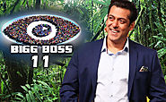 Bigg Boss 11 Contestants List - TV Series