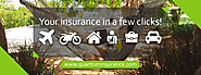 Website at https://www.quantuminsurance.com/car-insurance/plan-three/