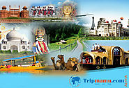 Hire a Travel Agent for Your Honeymoon | Tripmamu