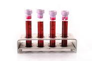 Blood samples information