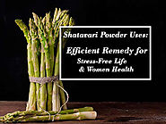 Shatavari Powder Uses: Efficient Remedy for Stress-Free Life & Women Health