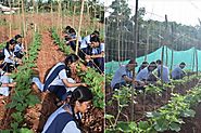 Agriculture School In Sanganer Jaipur