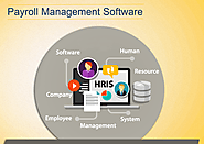 Can A Payroll Software Be An Effective HRMS?