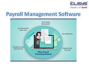 Payroll managment software