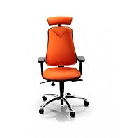 The best office chair for back pain, supporting lower and upper back