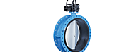 Factors of the Butterfly Valves
