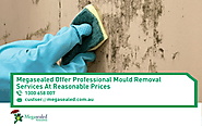 Megasealed offer professional mould removal services at reasonable prices