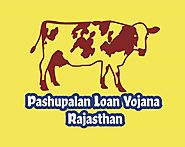 राजस्थान पशुपालन लोन योजना २०१९-२० डेयरी/भैंस पालन आवेदन फार्म