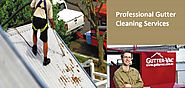 Professional Cleaning Services