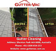 Gutter Cleaning