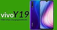 Vivo Y19 launched in India, know the price and features - catchme11