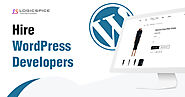 Hire Wordpress Developer | Dedicated Wordpress Web Developer