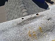 How long can you wait to re-coat or restore your spray foam roof? - Foam Roof Solutions