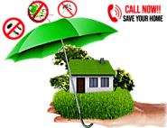 OZONE PEST CONTROLS DELHI | PEST CONTROL SERVICES DELHI | 9717877355