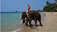 Best Places to Visit in Havelock Island Andaman - Tech Travel Hub