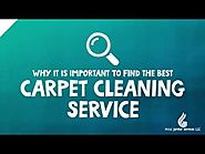 Why It Is Important To Find the Best Carpet Cleaning Service