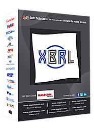 GEN XBRL - Prepare E-filing Balance Sheet Software