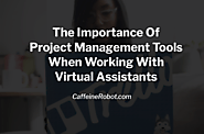 The Importance Of Project Management Tools When Working With Virtual Assistants