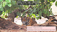 Taj & Tiger Tour | Wildlife Travel Packages