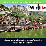 Mukundra Tiger Reserve | Wildlife Tours