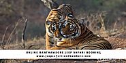 Ranthambore National Park Jeep Safari | Canter Safari Booking