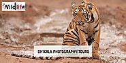 WILD PHOTOGRAPHY: DHIKALA PHOTOGRAPHY TOUR