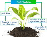 Soil Pollution - Definition, Sources, Causes, Effects, Prevention