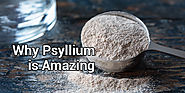 Why Psyllium is Amazing | Psyllium Husk Manufacturers in India