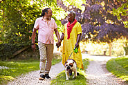 Pet Therapy: How It Is Beneficial to Seniors